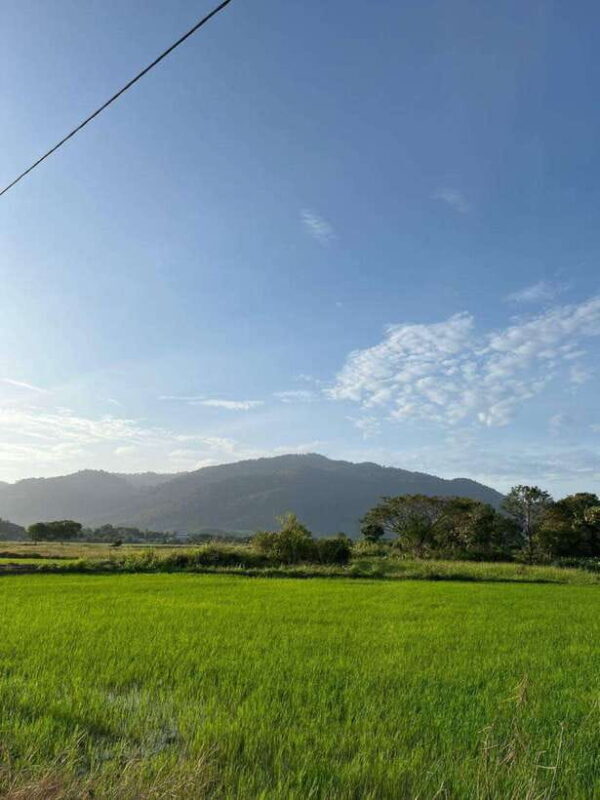 Langkawi: Countryside Bike Tour, Waterfall Swim & Dessert - Exploring Langkawi on a Countryside Bike Tour, Waterfall Swim & Dessert