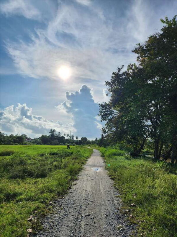 Langkawi : Countryside Cycling Tour - Final Thoughts: Why Choose This Experience?