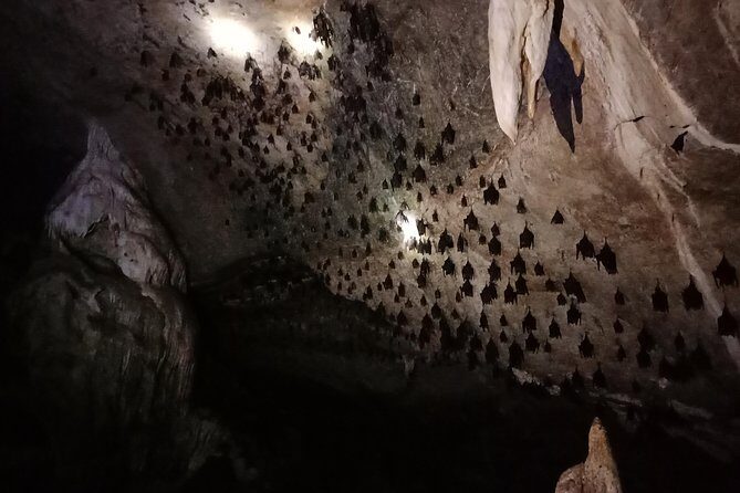 Langkawi Half Day Mangrove Tour - Sharing Basis - Key Points