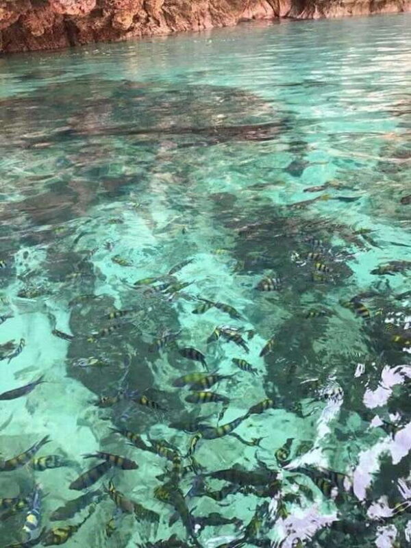 Langkawi Island: Hopping 5 in 1 Grand Tour - Who Should Consider This Tour?