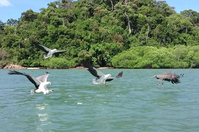 Langkawi Island Hopping Boat Tour with Return Transfer - What Do Reviews Say?