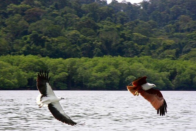 Langkawi Island Hopping Private Boat Tour with Transfer - A Detailed Look at the Langkawi Island Hopping Private Boat Tour