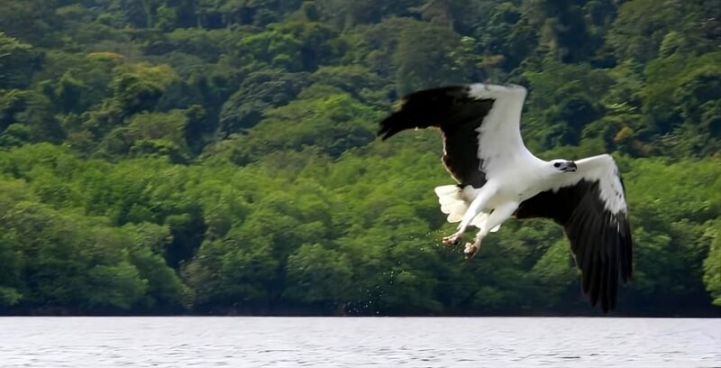 Langkawi: Island Hopping Shared or Private Boat Options - FAQs