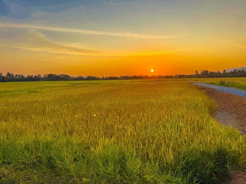 Langkawi Jungle and Waterfall Adventure (Golden Hour) - An In-Depth Look at What to Expect