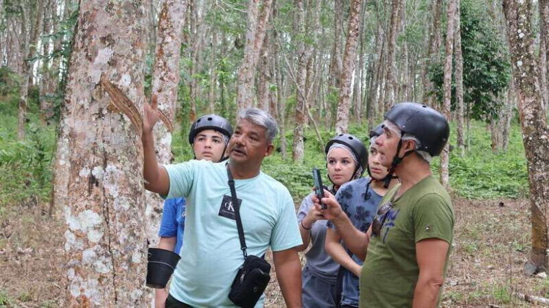 Langkawi Jungle and Waterfall Adventure - Key Points