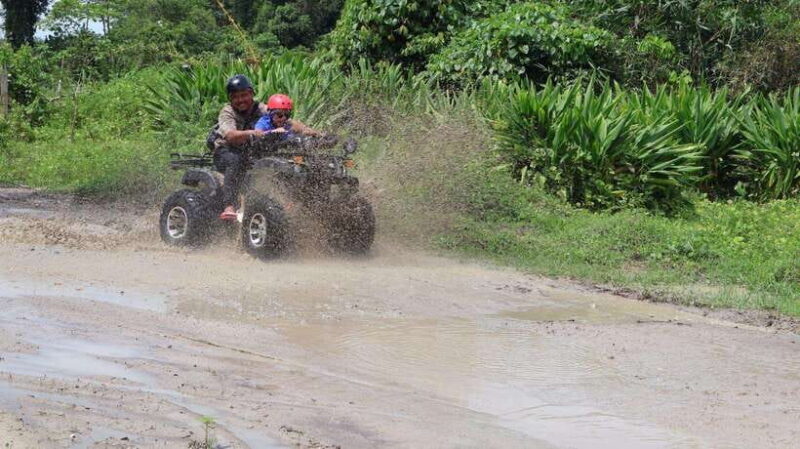 Langkawi Jungle and Waterfall Adventure - Why You’ll Love the Langkawi Jungle and Waterfall Tour