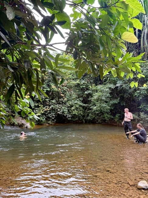 Langkawi Jungle Trekking & Live Cooking Adventure - A Detailed Look at the Langkawi Jungle Trekking & Live Cooking Adventure