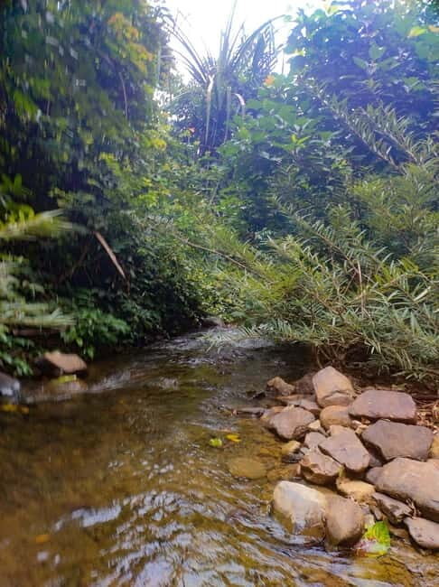 Langkawi Jungle Trekking & Live Cooking Adventure - FAQ