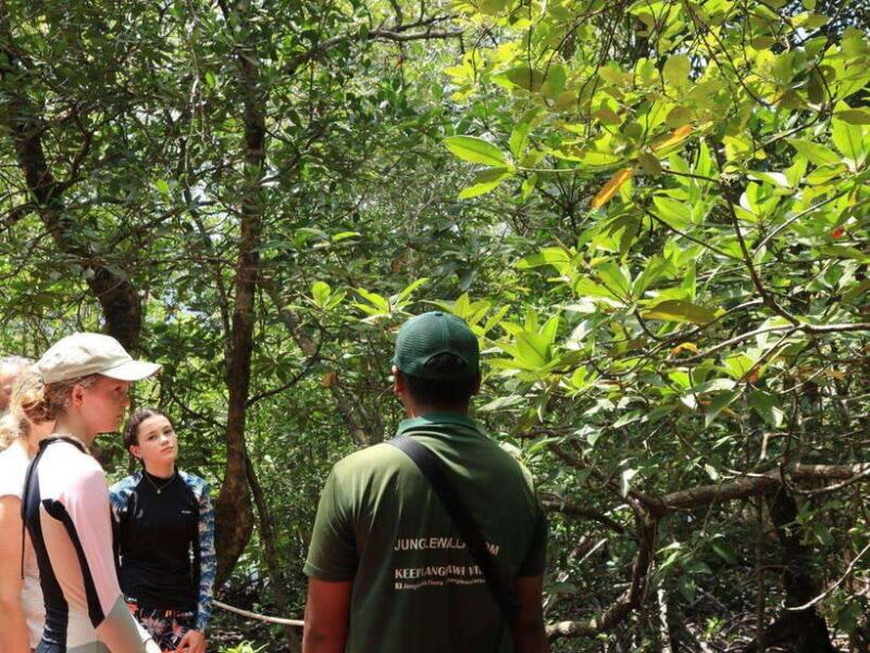Langkawi: Kayaking Adventure and Swimming - What Makes This Tour Stand Out?