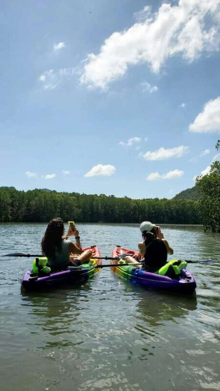 Langkawi : Kilim Geoforest Mangrove Kayak Tour with Lunch - Key Points