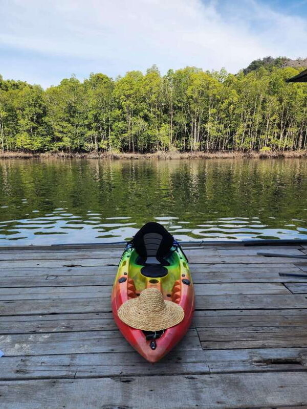 Langkawi : Kilim Geoforest Mangrove Kayak Tour with Lunch - A Delicious Meal at a Floating Restaurant