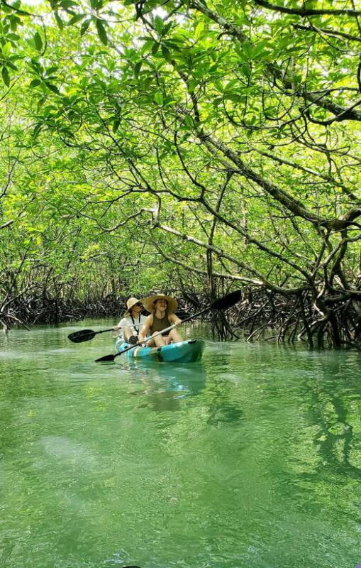 Langkawi : Kilim Geoforest Mangrove Kayak Tour with Lunch - Who’s This Tour Best For?