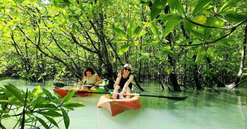 Langkawi : Kilim Geoforest Mangrove Kayak Tour with Lunch - Summary