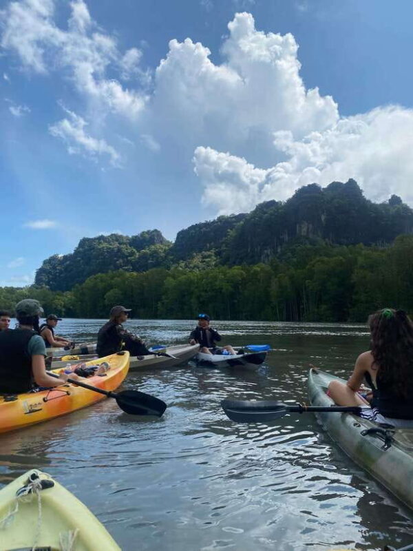 Langkawi: Kilim Karst Mangrove Kayak Adventure - Authentic Experience and Honest Evaluation