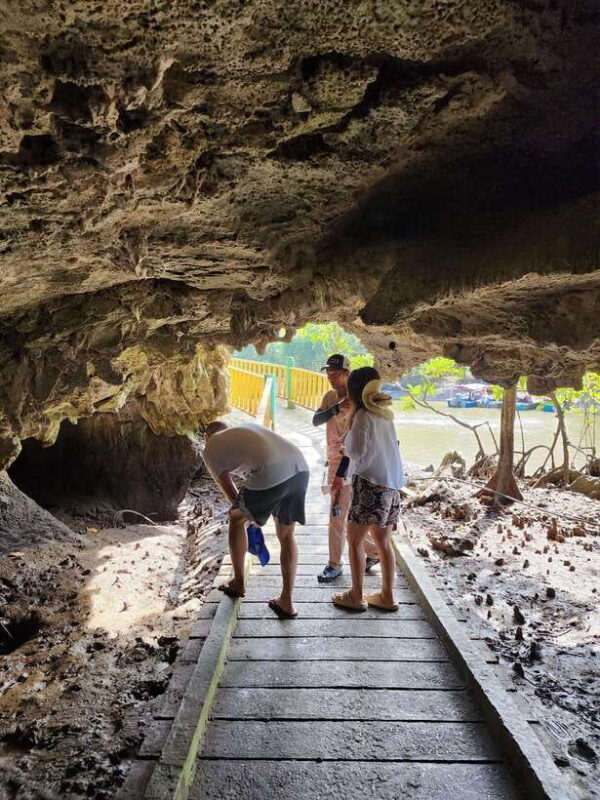 Langkawi : Kilim Mangrove Boat & Fun Kayak Tour with Lunch - Key Points