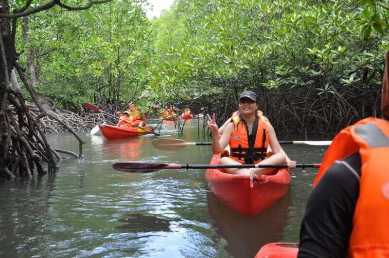 Langkawi: Kilim River Mangrove Safari Kayaking Tour - In The Sum Up