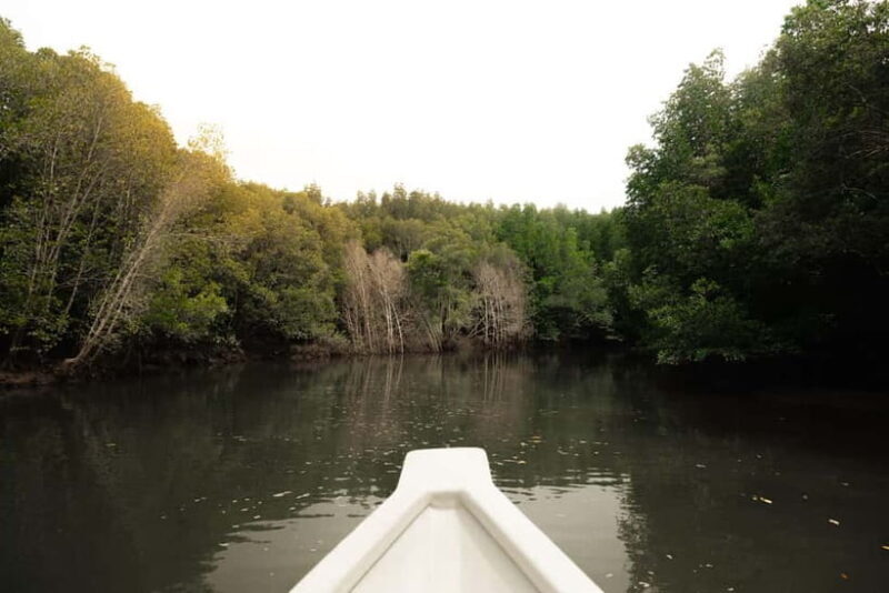 Langkawi Mangrove Boat River Cruise and Private Beach Tour - Exploring Langkawi’s Natural Wonders: The Mangrove Boat River Cruise and Private Beach Tour