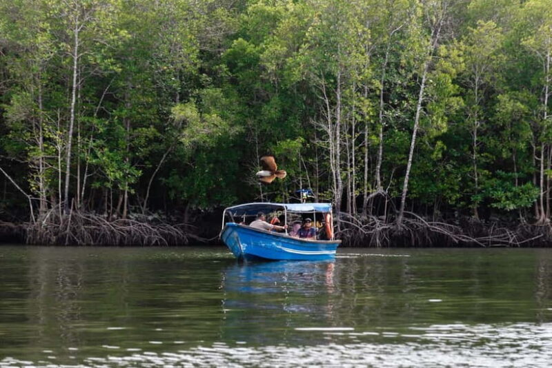 Langkawi Mangrove Boat River Cruise and Private Beach Tour - Key Points