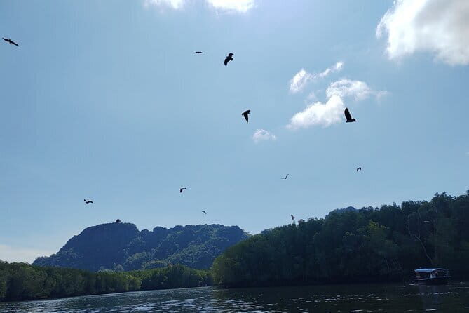 Langkawi Mangrove Boat Tour at Kilim Geoforest Park - What We Love About This Tour