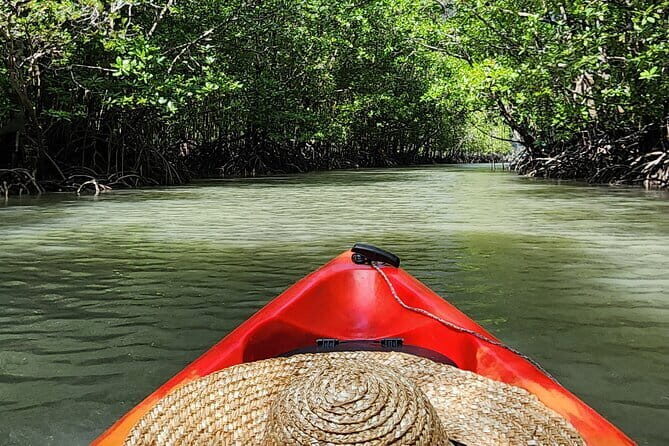 Langkawi Mangrove Kayak Tour by Sham - A Deep Dive into the Langkawi Mangrove Kayak Tour