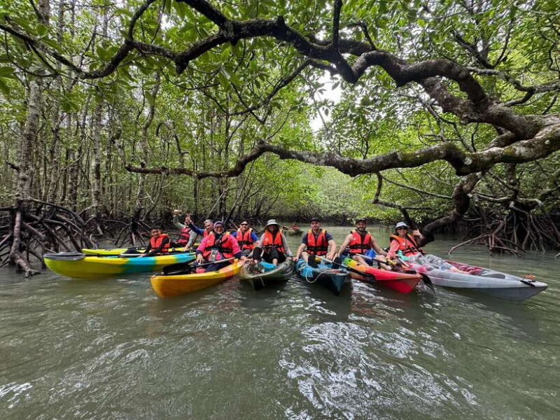 Langkawi: Mangrove Kayaking by Farly - Why This Tour Works Well for Travelers