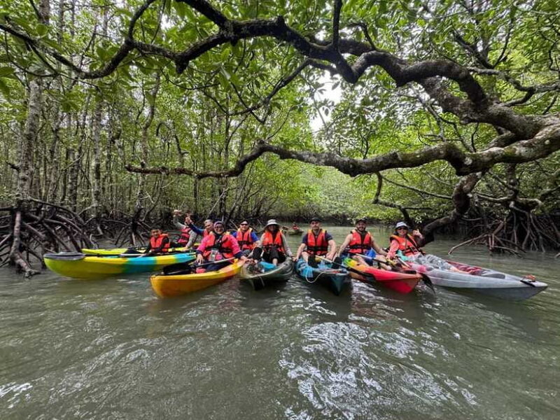 Langkawi: Mangrove Kayaking by Farly - The Real Value of Farly’s Mangrove Kayaking Tour