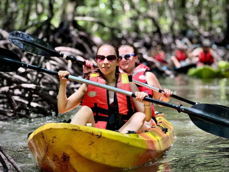Langkawi: Mangrove Kayaking by Farly - Who Should Consider This Tour?