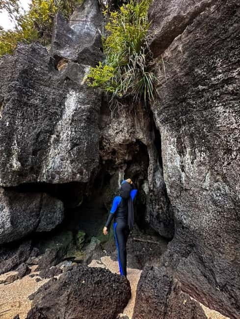 Langkawi Mangrove Tour : Estimated 3 hours Lunch Available - In-Depth: Why This Tour Offers Real Value