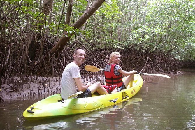 Langkawi Mangrove with Kayaking Experince - A Closer Look at the Langkawi Mangrove Kayaking Tour