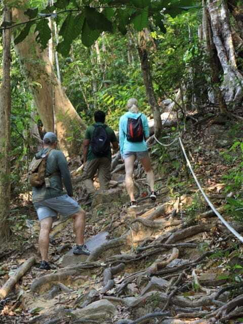 Langkawi: Mount Matchinchang Hiking Tour - The Sum Up
