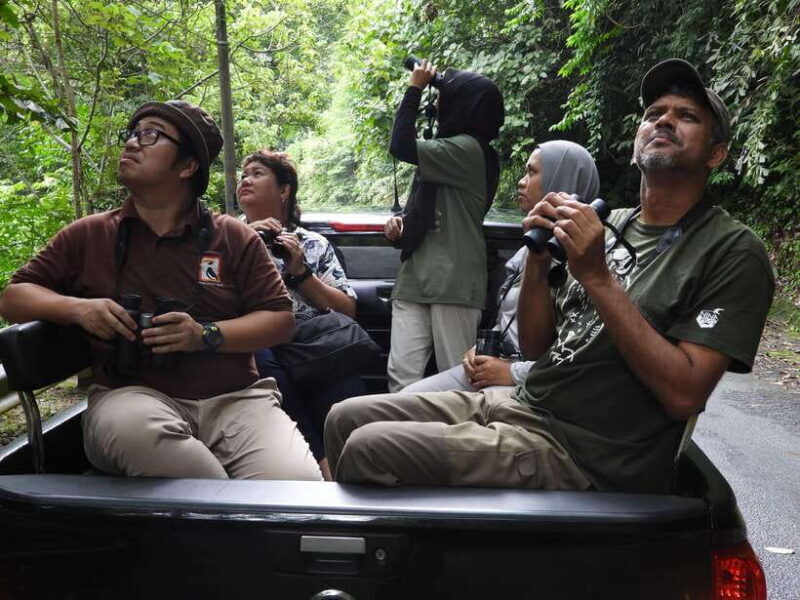 Langkawi: Nighttime Rainforest Tour with Nature Guide - Who Will Love This Tour?