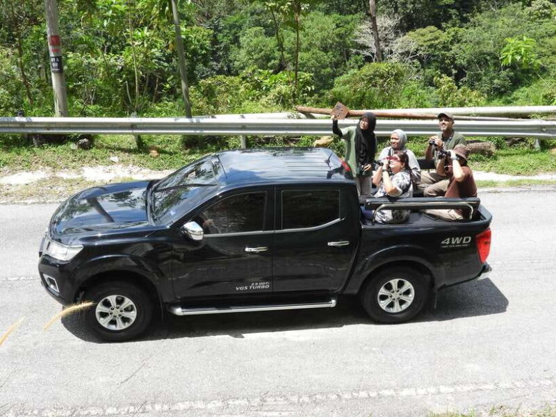 Langkawi: Nighttime Rainforest Tour with Nature Guide - FAQs