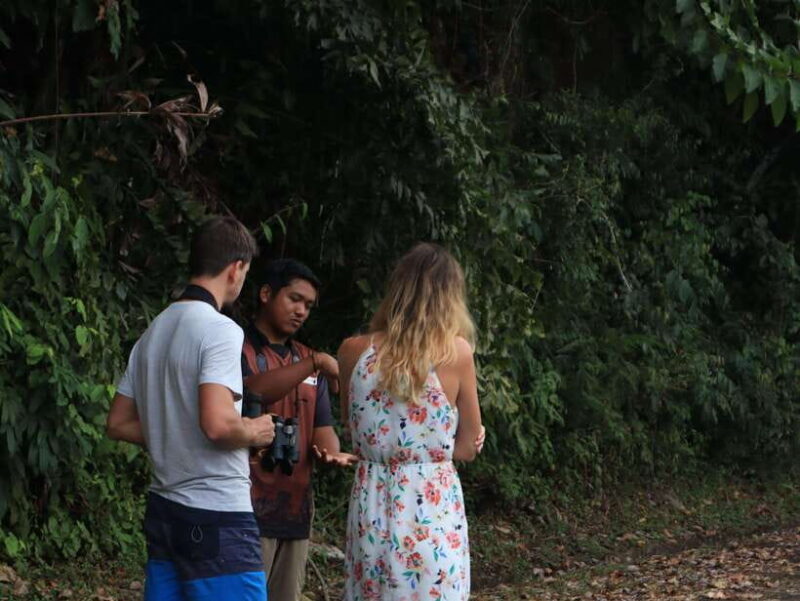 Langkawi: Nighttime Rainforest Tour with Nature Guide - Final Thoughts