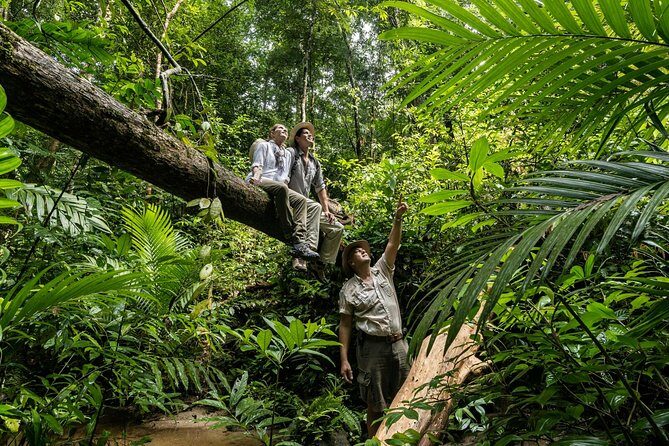 Langkawi Rainforest Jungle Trekking Tour with Private Pickup - Final Thoughts on Value and Experience