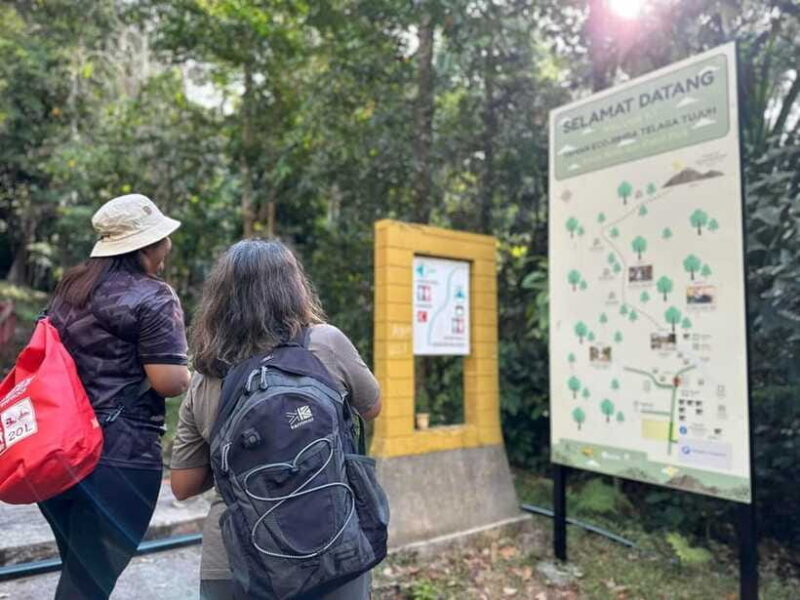 Langkawi: Seven Wells Waterfalls and Sacred Blue Pool Trip - Who Will Love This Trip?