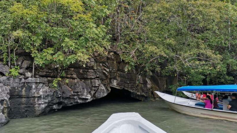Langkawi Signature Mangrove Discovery Boat Tour (Shared) - Key Points