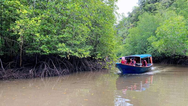 Langkawi Signature Mangrove Discovery Boat Tour (Shared) - An In-Depth Look at the Langkawi Mangrove Experience