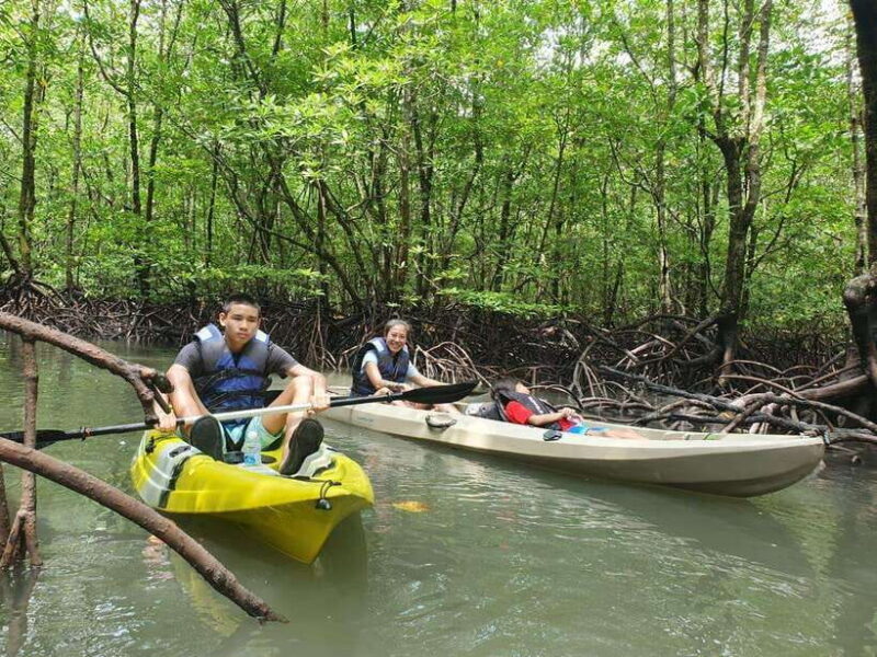Langkawi: Sunset Kayaking Tour - An In-Depth Look at the Sunset Kayaking Tour