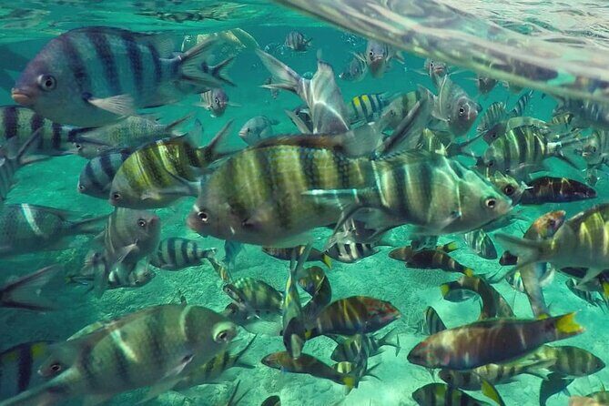 Langkawi Tour A - Land Tour & Pulau Dangli Snorkeling - FAQ