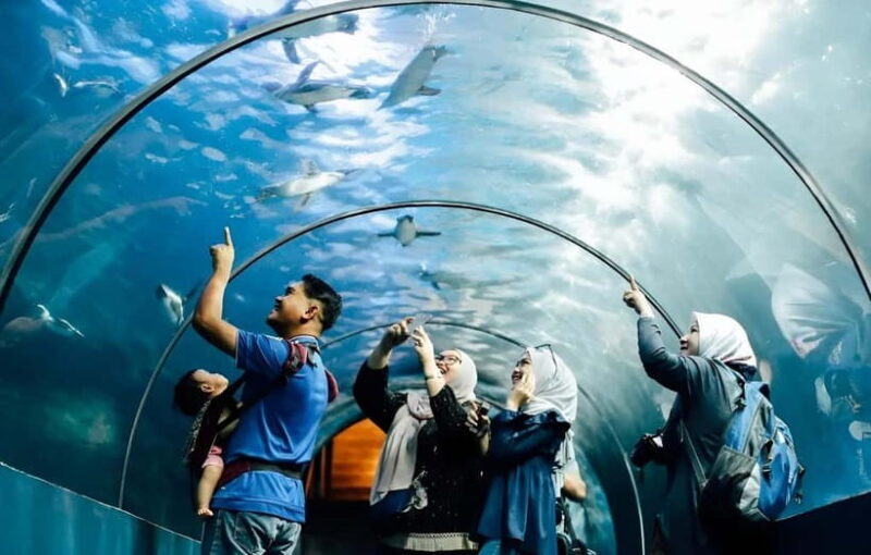 Langkawi: Underwater World Langkawi Entry Ticket - Practical Tips for Visiting