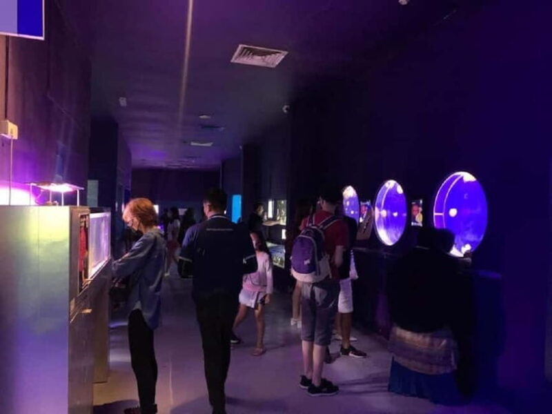 Langkawi: Underwater World Langkawi Entry Ticket - Reviews from Visitors