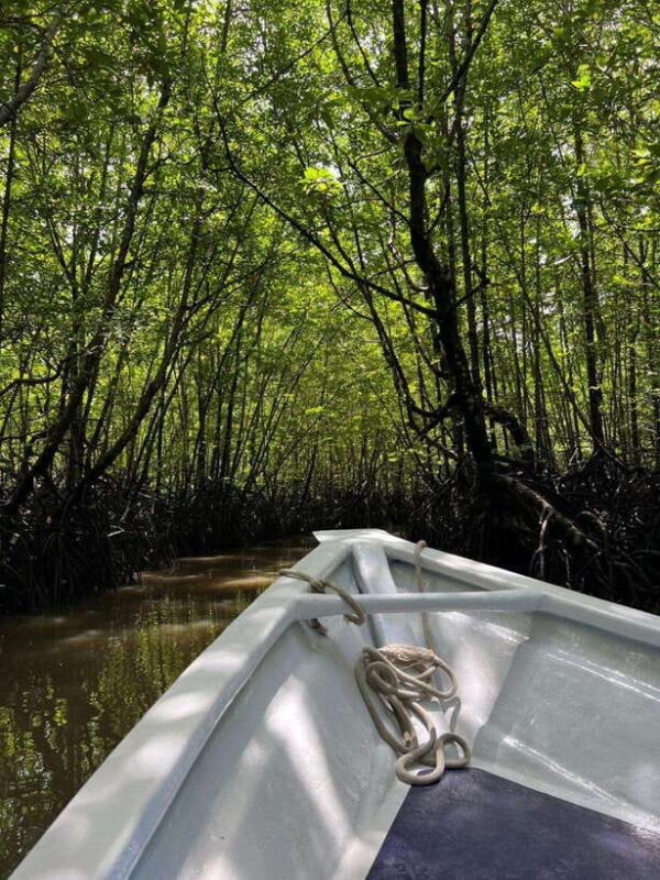 Langkawi: UNESCO Global Geopark Mangrove Cruise - The Sum Up: Why This Tour Is a Winner
