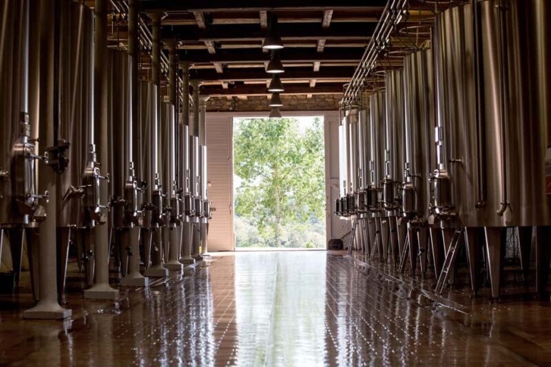 Languedoc: Heritage Tour & Tasting at Domaine de Baronarques - Languedoc: Heritage Tour & Tasting at Domaine de Baronarques
