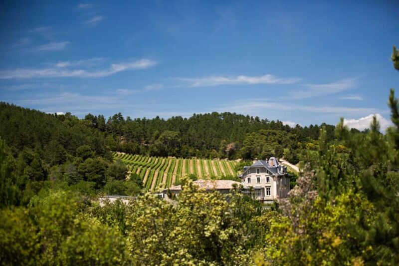Languedoc: Heritage Tour & Tasting at Domaine de Baronarques - Key Points