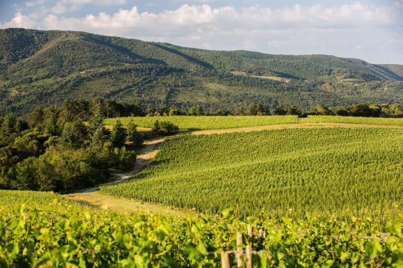 Languedoc: Terroir Tour & Tasting at Domaine de Baronarques - FAQ