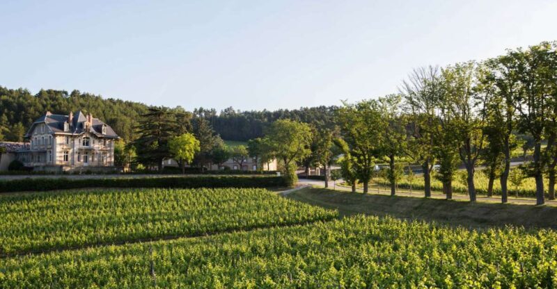 Languedoc: Tour and Tasting at Domaine de Baronarques - The Setting: A Storied Estate in Limoux