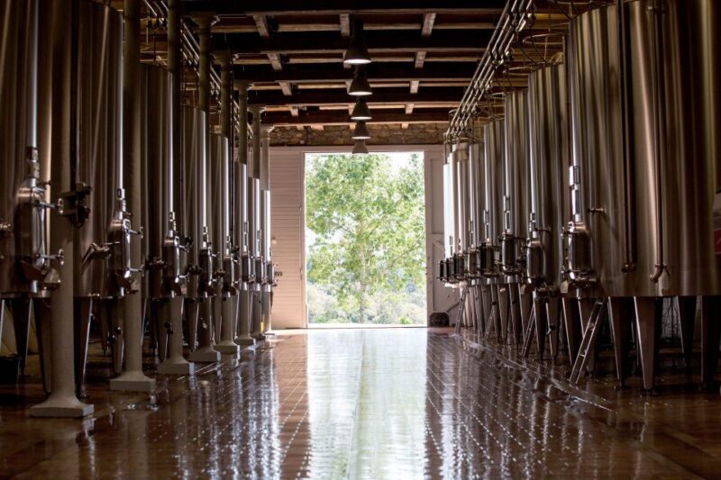 Languedoc: Tour and Tasting at Domaine de Baronarques - Authenticity and Value