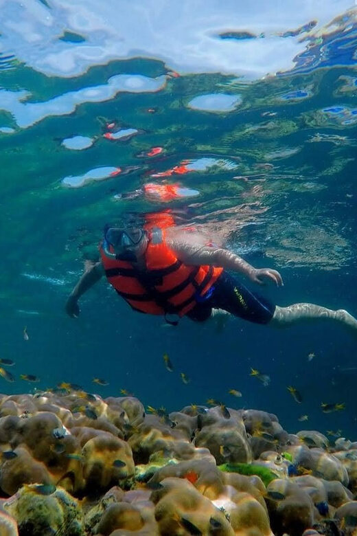 Lanta's Hidden Gems: 4 Islands by Traditional Longtail Boat - Key Points