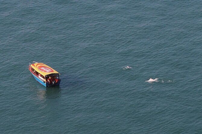 Lantau Group Tour: Dolphin Watching, Fishing Village & Cable Car - Exploring Hong Kong’s Lantau Island: The Essential Guide