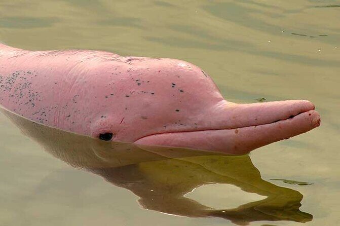 Lantau Island Full Day Tour (2024) 150+ booked - Exploring the Itinerary in Detail